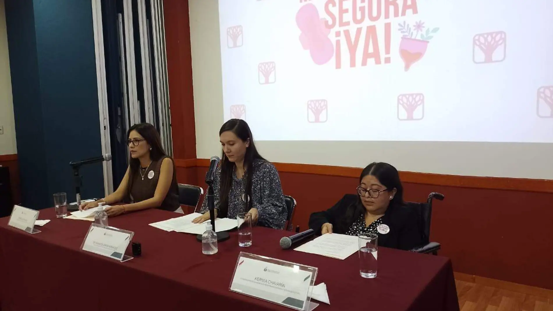 programa Menstruación Segura